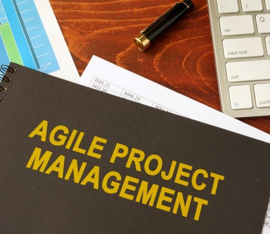 Agilni strateški management in management portfelja (agilnih) projektov Agilni strateški management in management portfelja (agilnih) projektov